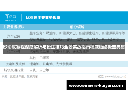 欧协联赛程深度解析与投注技巧全景实战指南权威版终极宝典集 欧协联赛程深度解析与投注技巧全景实战指南权威版终极宝典集